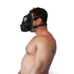 Gas mask s10.3 double rd40