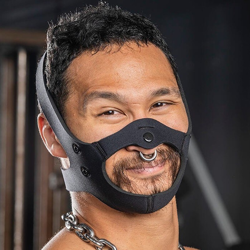 Neo face muzzle head harness