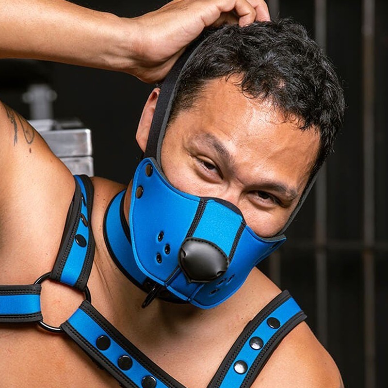 Neo face muzzle head harness
