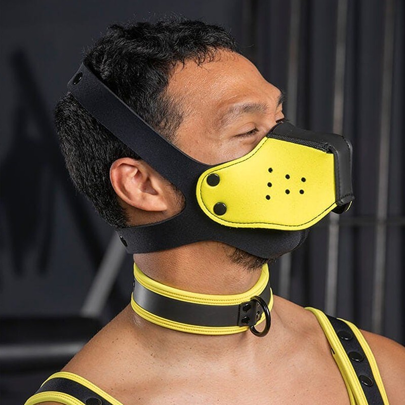 Neo face muzzle head harness