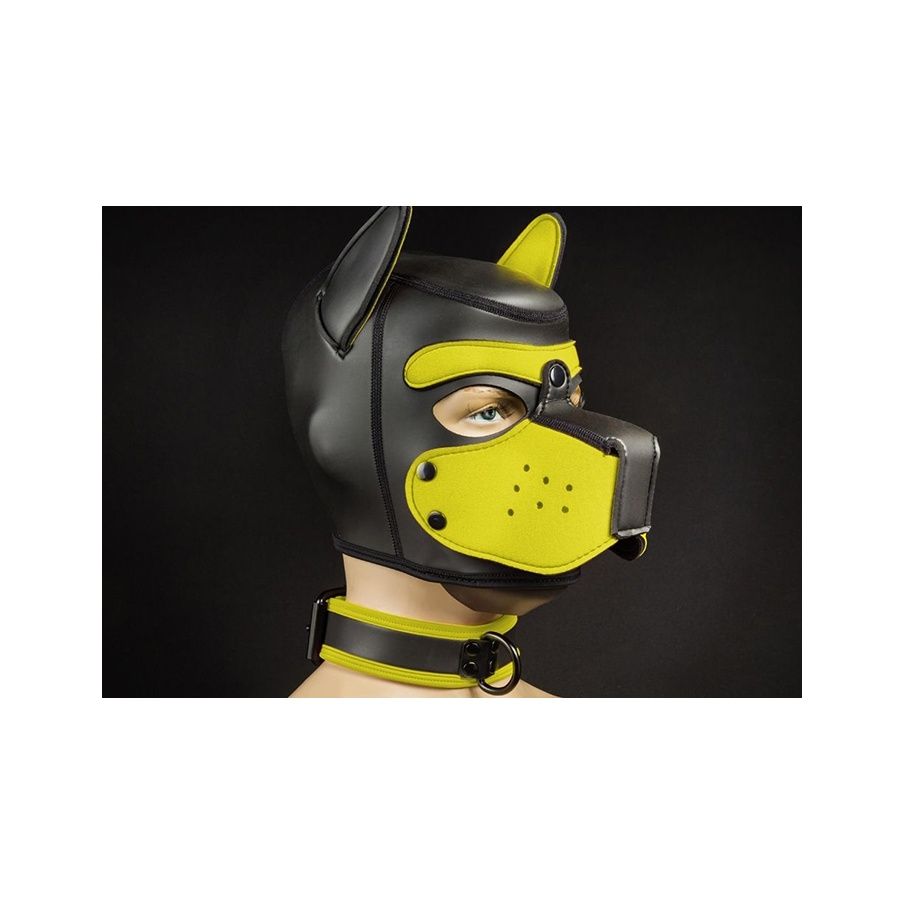Néo Puppy Collar Noir Jaune 10969