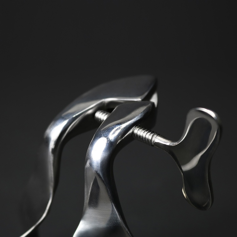 Collin Speculum Acier 3 Tailles 11773