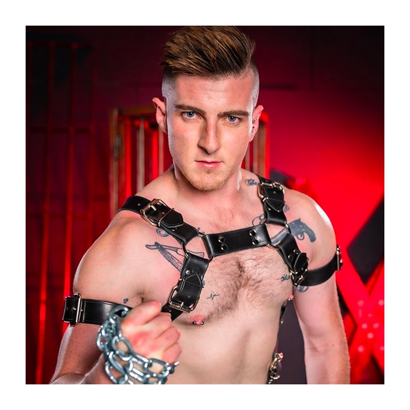 Leather harness Trojan silver 16202