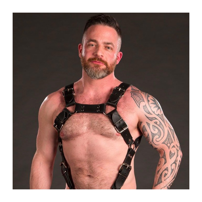 Leather harness Trojan silver 16206