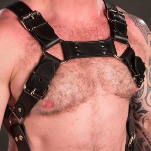 Leather harness Trojan silver 16207