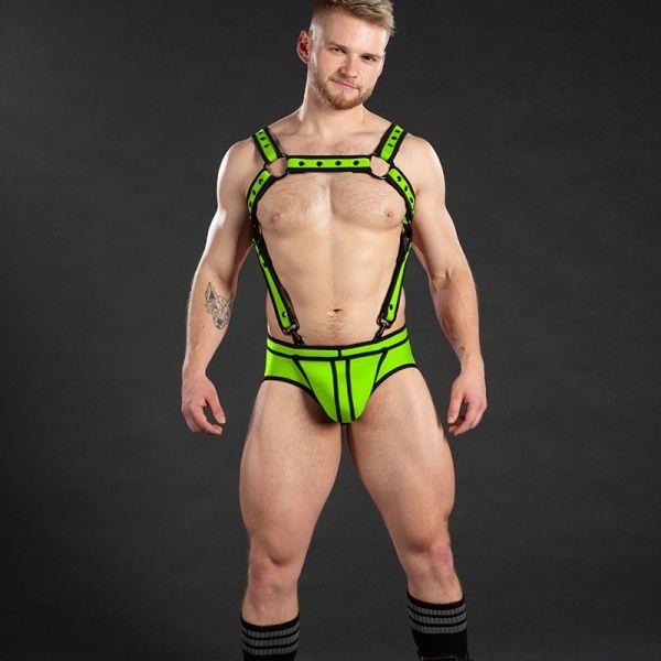 Harness MR-S-LEATHER 17255