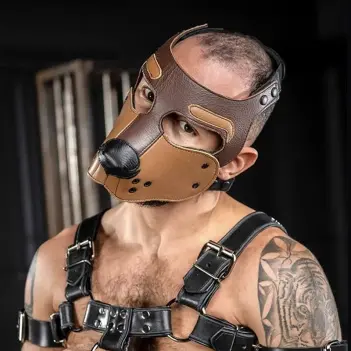 Mr S Leather Bone Hound puppy muzzle, open snout leather | Dark-Ink