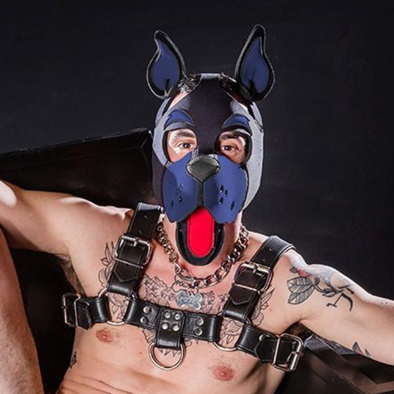Puppy Hood Mr-S-Leather Head Harness NEO WOOF Navy 17776