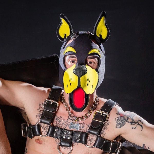 Cagoule Puppy MR-S-LEATHER 17938