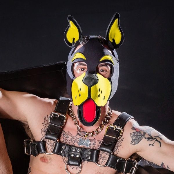 Puppy Hood Mr-S-Leather 17938