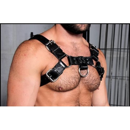 Harnais Bulldog 2.0 Noir 18365