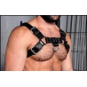 Harnais Bulldog 2.0 Schwarz 18365 1