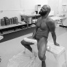 Cutler X Brown 18982 1