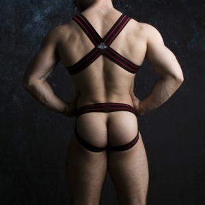 Harness Grab Him Nylon Rot 19212