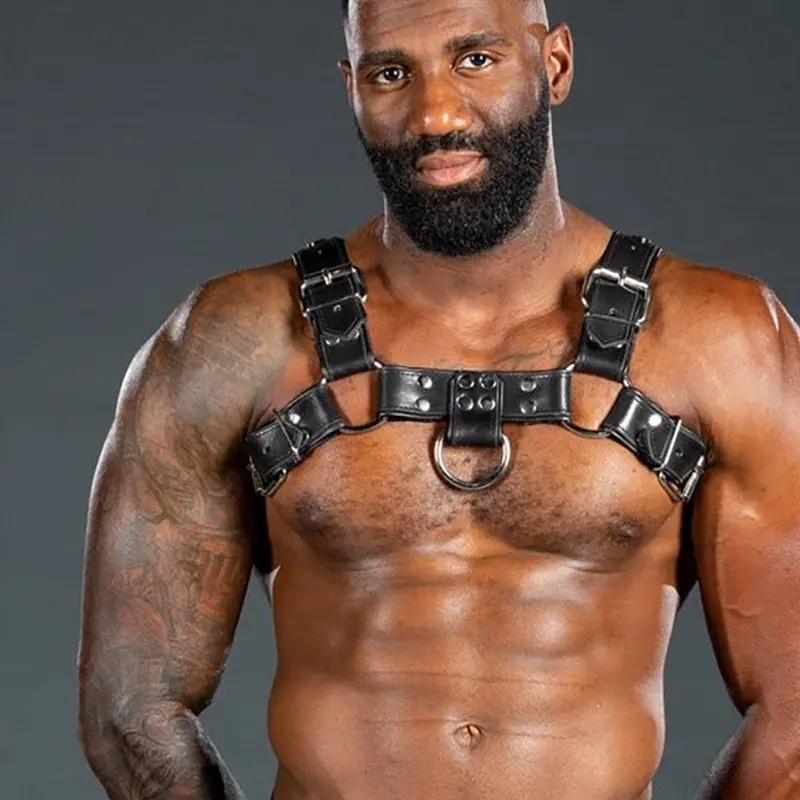 Mr S Leather Bulldog 2.0 leather harness, crossed straps | Dark-Ink
