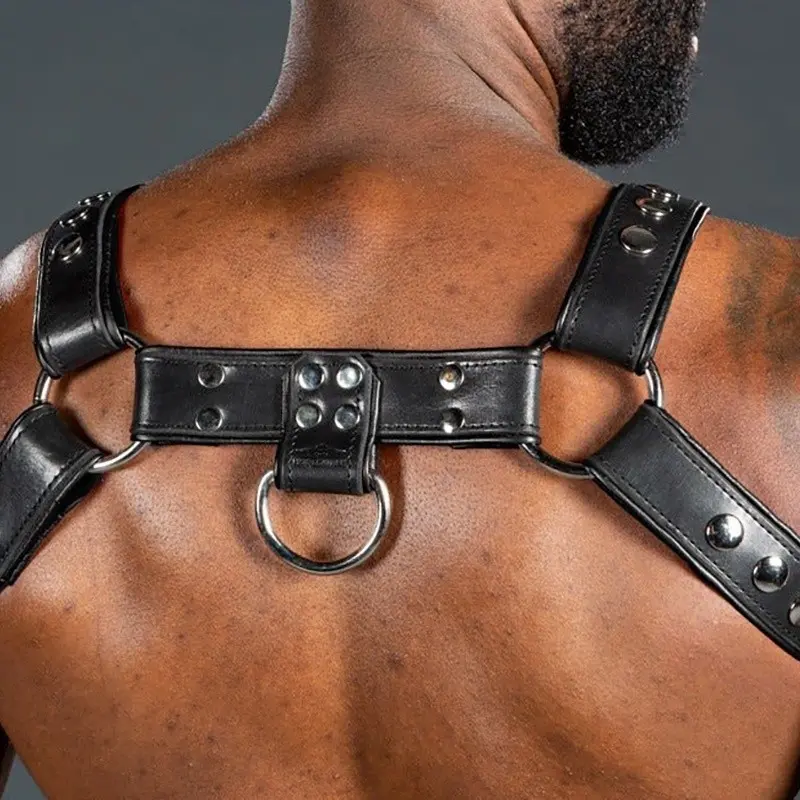 Mr S Leather Bulldog 2.0 leather harness, crossed straps | Dark-Ink
