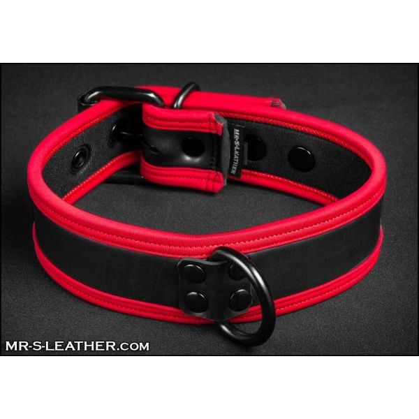 Puppy Collar and Leash Mr-S-Leather 21828
