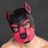 Neoprene k9 hood Rosa 22827 1