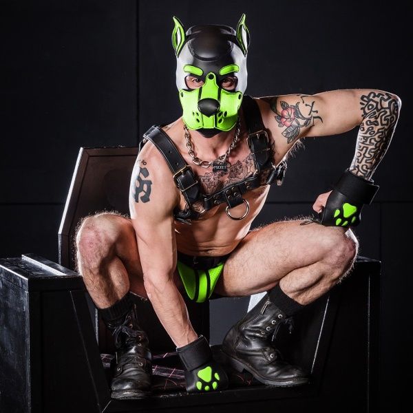 K9 Puppy hood MR-S-LEATHER 22857