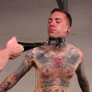 Mr S Collier Quick-Pull Choke Collar 26225