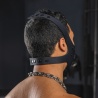 Neo K9 Muzzle + Head harness 27412 1