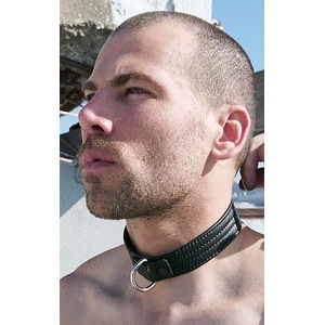 Leather Puppy Collar with D ring 27887