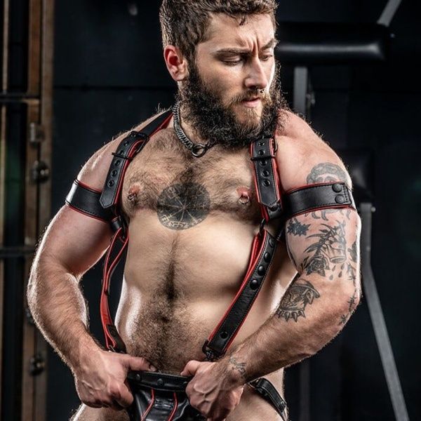 Hunter Harness Red 28634