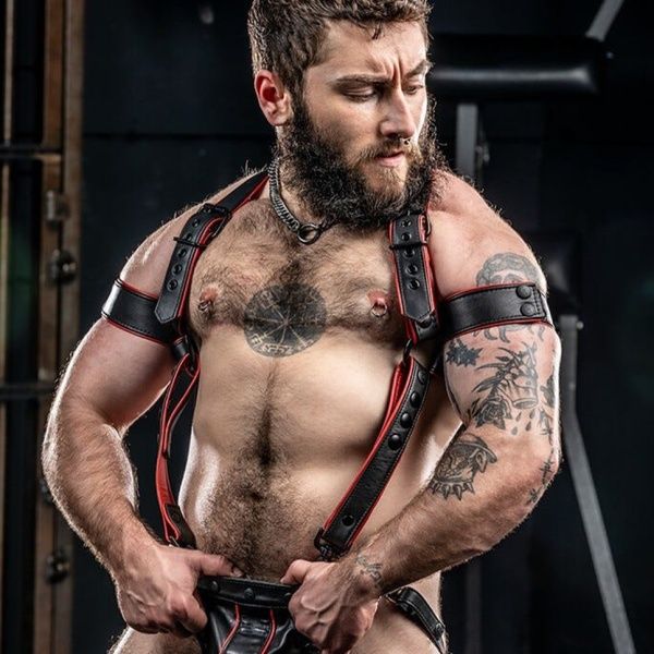 Harness MR-S-LEATHER 28634