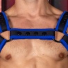 Neo Carbon Bulldog harness black/blue 28717 1