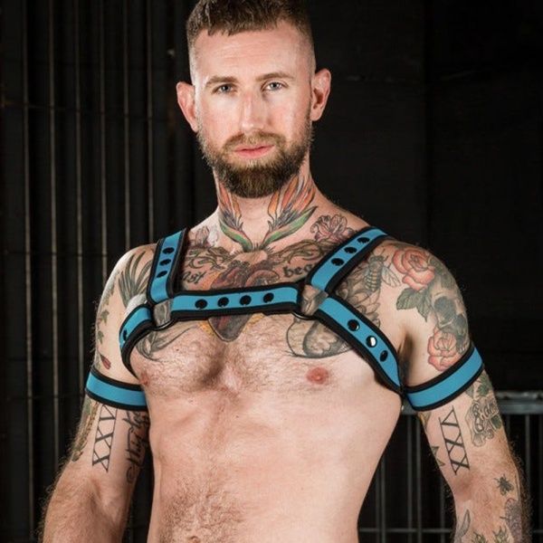 Harness Mr-S-Leather 28826