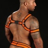 Harness MR-S-LEATHER
