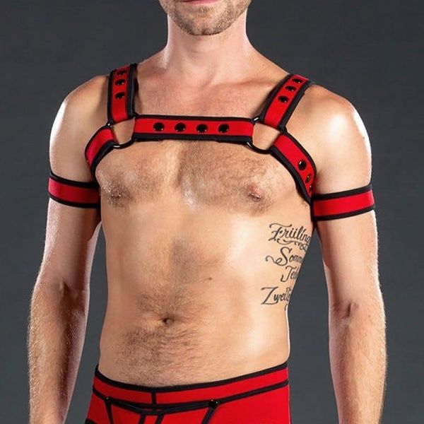 Harness MR-S-LEATHER 28834