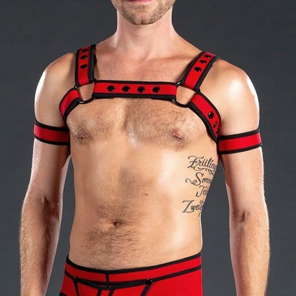 Neo Bold Bulldog Harness Rojo 28834