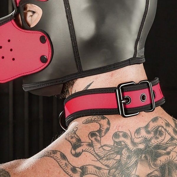 Puppy Collar and Leash MR-S-LEATHER 28852