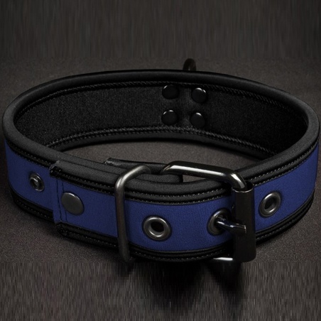 Neo Bold Puppy Collar Royal 28856