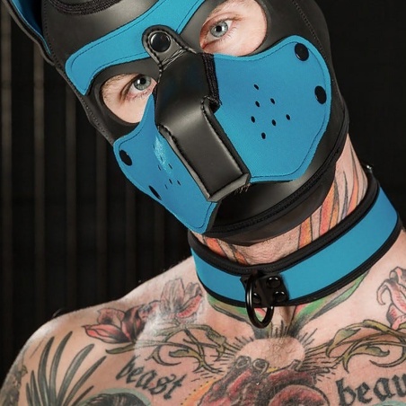 Neo Bold Puppy Collar Aqua 28859