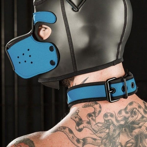 Puppy Collar and Leash Mr-S-Leather 28860