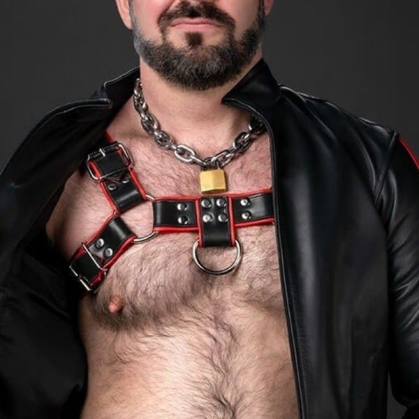 Leather Mr-S-Leather 31715
