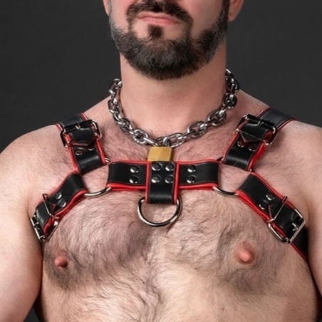 Harnais Bulldog 2.0 Rouge 31716