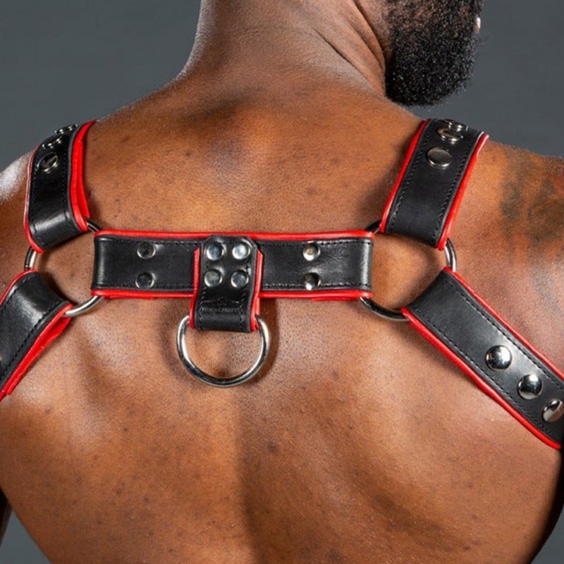 Harnais Bulldog 2.0 Red 31717