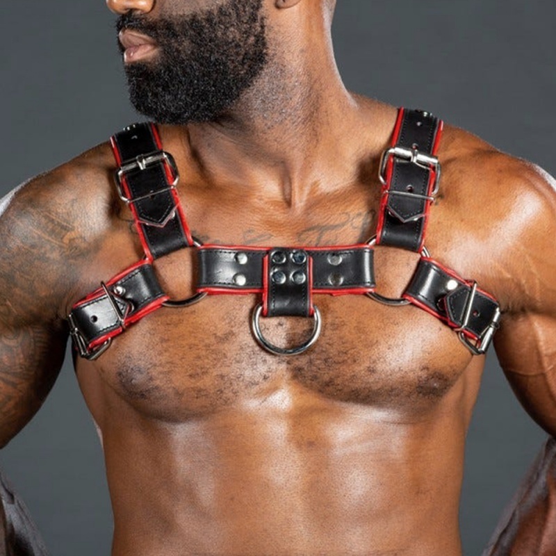 Harnais Bulldog 2.0 Red 31718