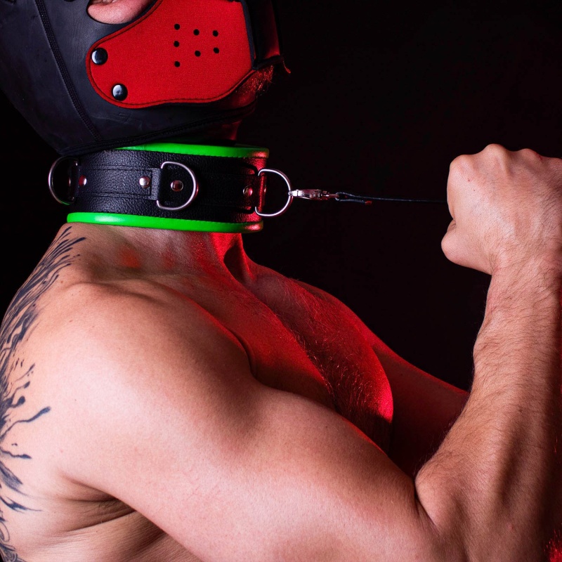 Premium Padded Collar Black 32303