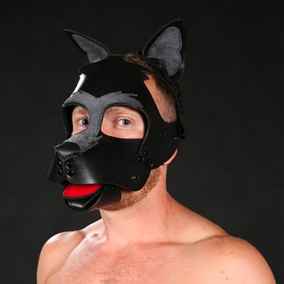 Mascara de Puppy Mr-S-Leather Howler Muzzle Gris 32503