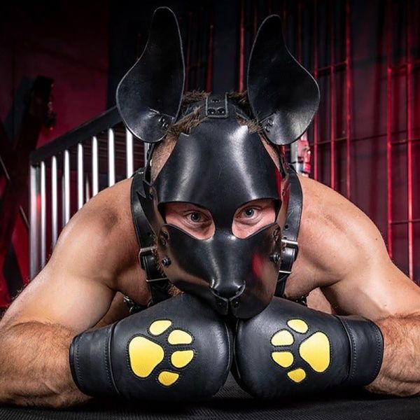 Mitaines et moufles Puppy Mr-S-Leather 32843