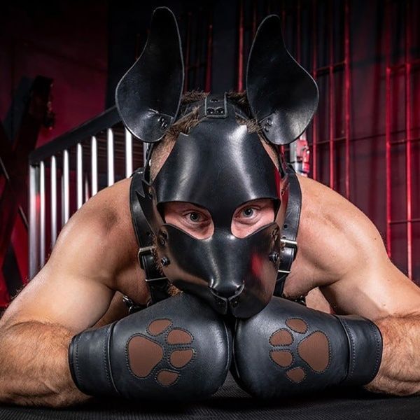 Mitaines et moufles Puppy MR-S-LEATHER 32860