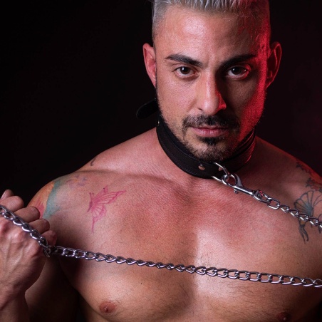 Premium Padded Collar Black 32934