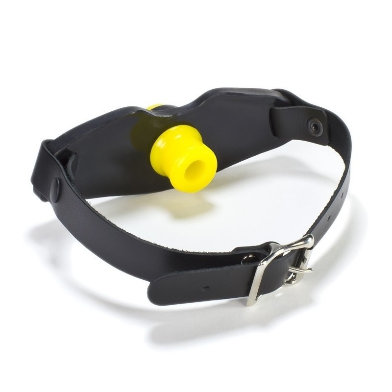 Guard gag with insert