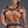 Harnais Bulldog 2.0 Schwarz 34767 1