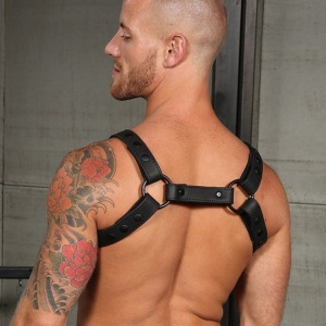 Crossbow Chest Harness 34777