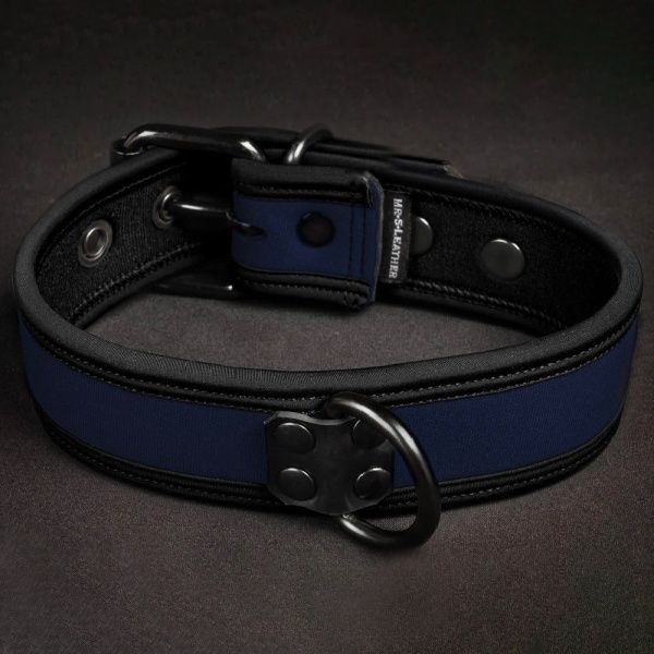 Puppy Collar and Leash Mr-S-Leather 35956